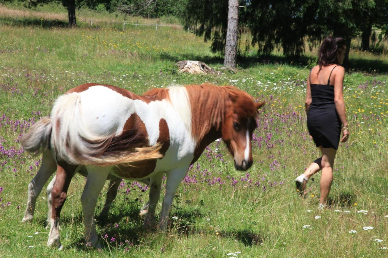 Hostellerie La Bruyere Chalvignac Εξωτερικό φωτογραφία